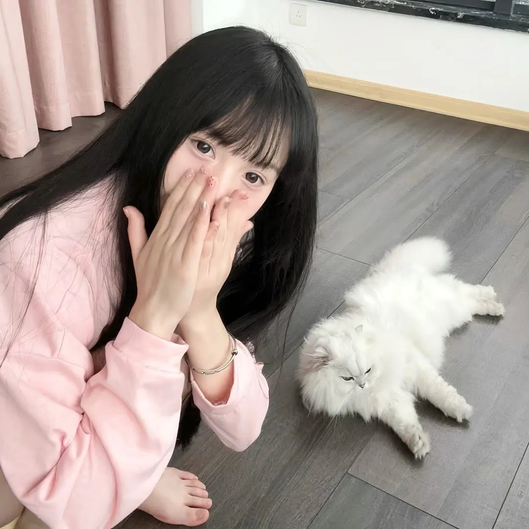藤本树